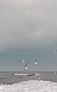 Preview wallpaper sea, waves, seagulls, birds, clouds