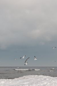 Preview wallpaper sea, waves, seagulls, birds, clouds