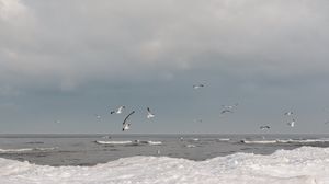Preview wallpaper sea, waves, seagulls, birds, clouds