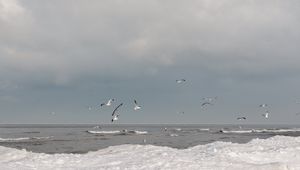 Preview wallpaper sea, waves, seagulls, birds, clouds