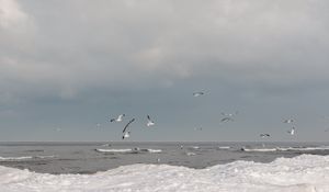 Preview wallpaper sea, waves, seagulls, birds, clouds