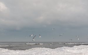 Preview wallpaper sea, waves, seagulls, birds, clouds