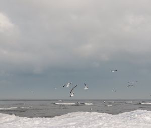 Preview wallpaper sea, waves, seagulls, birds, clouds