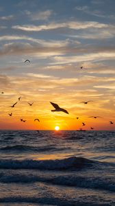 Preview wallpaper sea, waves, sunset, birds