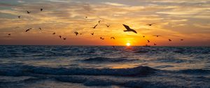 Preview wallpaper sea, waves, sunset, birds