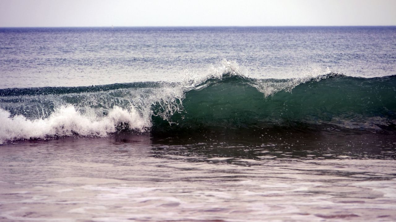 Wallpaper sea, waves, surf, beach