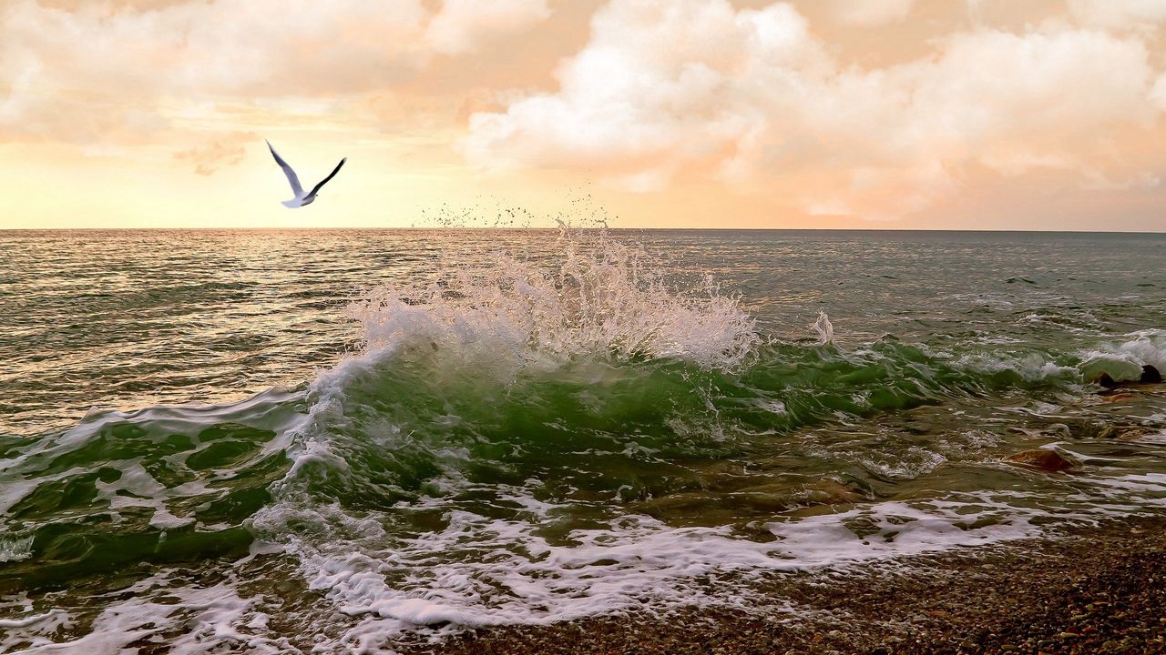 Wallpaper sea, waves, surf, seagulls, sky