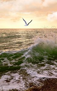 Preview wallpaper sea, waves, surf, seagulls, sky