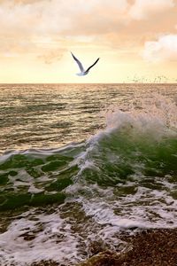 Preview wallpaper sea, waves, surf, seagulls, sky