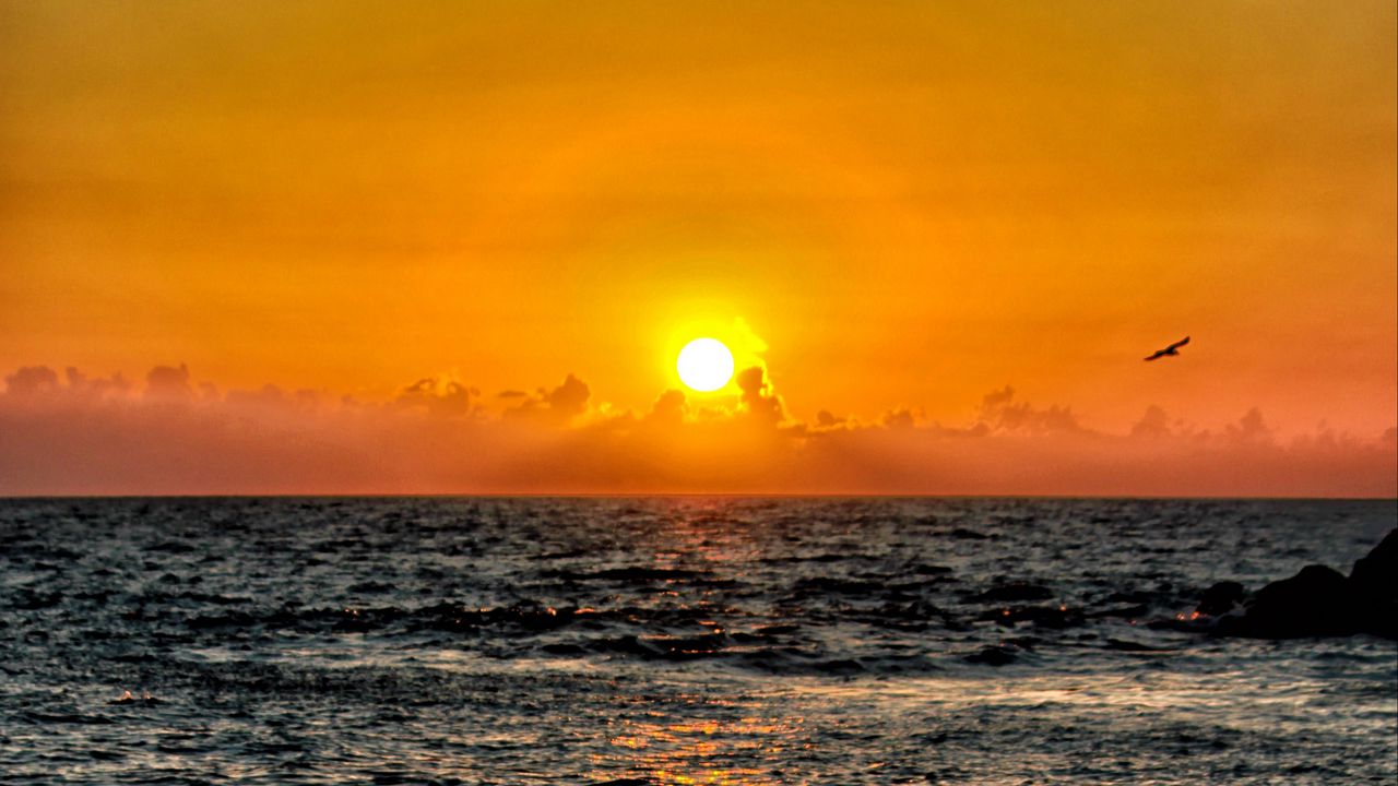 Wallpaper sea, waves, water, horizon, sun, sunset