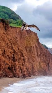 Preview wallpaper seagull, bird, flight, sea, rocks, wildlife