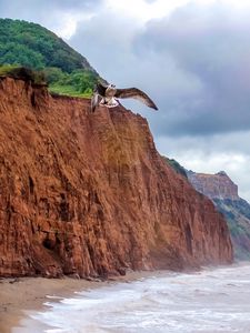 Preview wallpaper seagull, bird, flight, sea, rocks, wildlife