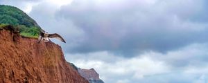 Preview wallpaper seagull, bird, flight, sea, rocks, wildlife