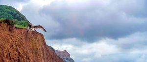 Preview wallpaper seagull, bird, flight, sea, rocks, wildlife