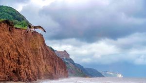 Preview wallpaper seagull, bird, flight, sea, rocks, wildlife