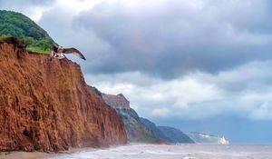 Preview wallpaper seagull, bird, flight, sea, rocks, wildlife