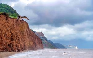 Preview wallpaper seagull, bird, flight, sea, rocks, wildlife