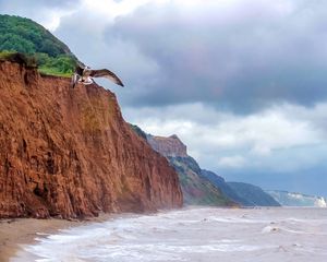 Preview wallpaper seagull, bird, flight, sea, rocks, wildlife