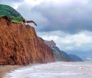 Preview wallpaper seagull, bird, flight, sea, rocks, wildlife