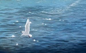 Preview wallpaper seagull, bird, sea, art