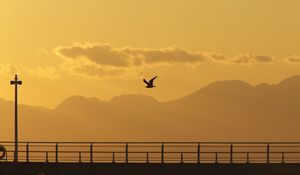 Preview wallpaper seagull, bird, silhouette, flight, sunset