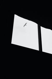 Preview wallpaper seagull, bird, window, sky