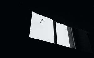 Preview wallpaper seagull, bird, window, sky