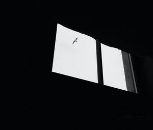 Preview wallpaper seagull, bird, window, sky