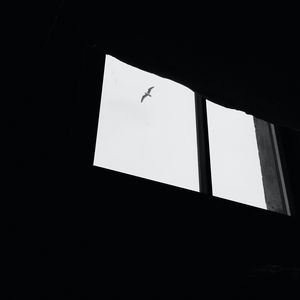 Preview wallpaper seagull, bird, window, sky