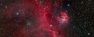 Preview wallpaper seagull nebula, nebula, stars, space