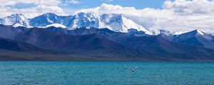 Preview wallpaper seagull, sea, mountains, flight