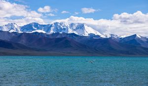 Preview wallpaper seagull, sea, mountains, flight