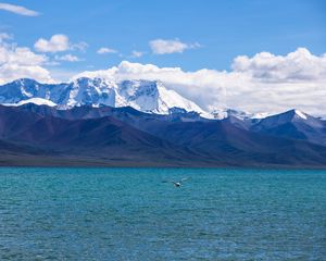 Preview wallpaper seagull, sea, mountains, flight