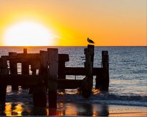 Preview wallpaper seagull, sea, sunset, horizon, surf