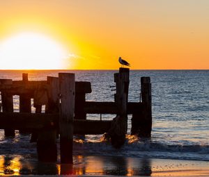 Preview wallpaper seagull, sea, sunset, horizon, surf