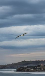 Preview wallpaper seagull, sky, clouds, slope, sea, waves