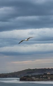 Preview wallpaper seagull, sky, clouds, slope, sea, waves