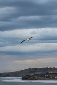 Preview wallpaper seagull, sky, clouds, slope, sea, waves