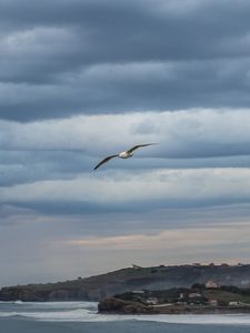 Preview wallpaper seagull, sky, clouds, slope, sea, waves