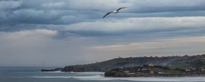 Preview wallpaper seagull, sky, clouds, slope, sea, waves