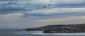 Preview wallpaper seagull, sky, clouds, slope, sea, waves