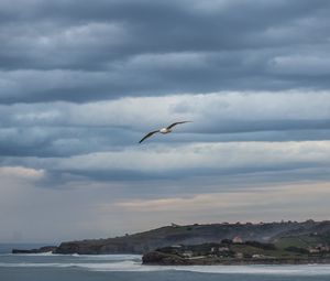 Preview wallpaper seagull, sky, clouds, slope, sea, waves