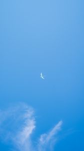 Preview wallpaper seagull, wings, sky, flight