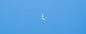 Preview wallpaper seagull, wings, sky, flight