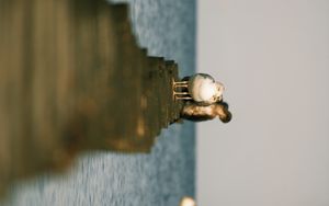 Preview wallpaper seagulls, birds, pier, sea, wildlife