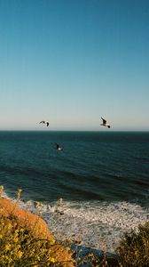 Preview wallpaper seagulls, birds, sea, flowers, waves