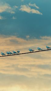 Preview wallpaper seagulls, birds, wire, sky