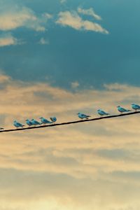 Preview wallpaper seagulls, birds, wire, sky