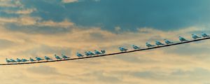 Preview wallpaper seagulls, birds, wire, sky