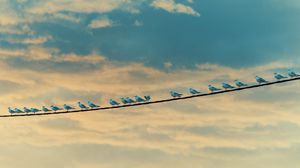 Preview wallpaper seagulls, birds, wire, sky